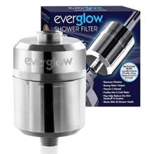 1640C High Output Shower Filter