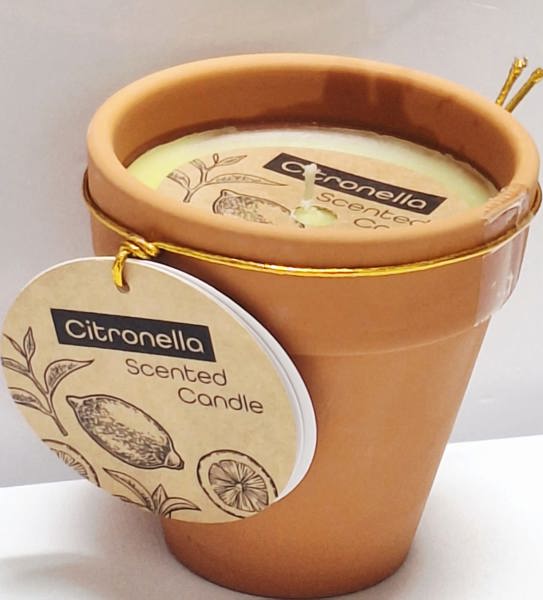 Koopman International 288100010 Citronella Candle in Pot 9X9Cm