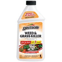 HG-96009 1 Qt Concentrated Weed and Grass Killer
