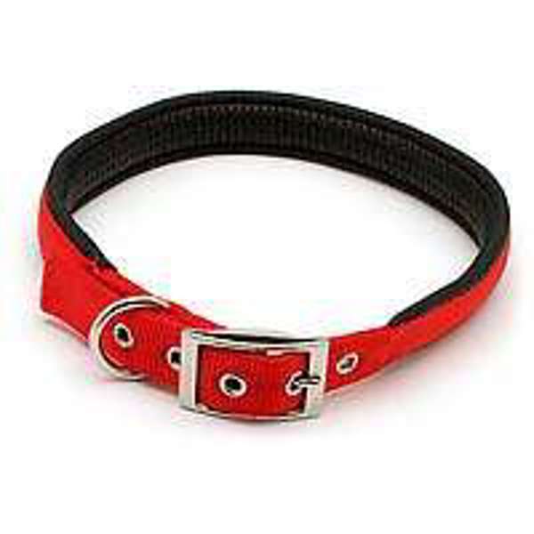 Aspen Pet 6169106 Dog Collar 1 In X 24 In Red Nylon