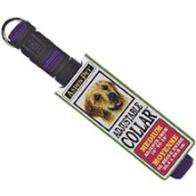 6170757 10 To 16 X 5/8 In Royal Blue Dog Collar
