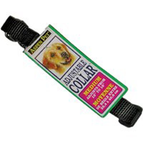 Aspen Pet 6171425 Dog Collar 10 To 16 In Size 5/8 In Width Black