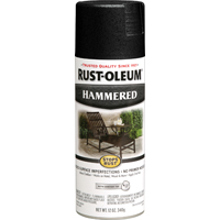7215830 12 Oz Black Spray Paint