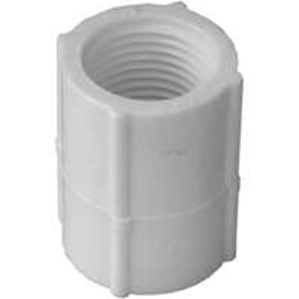 LASCO 30125 Threaded PVC Coupling 1/2 In