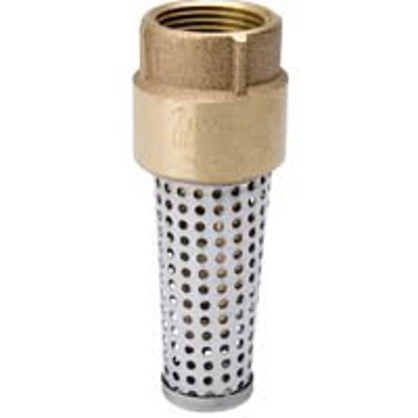 B&K Industries 101-326NL Foot Valve 1-1/4 In FPT Brass Body Brass