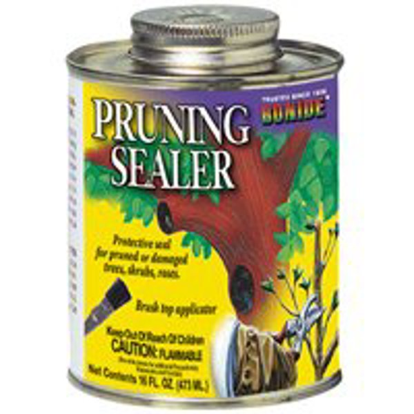 Bonide 225 Sealer Tree Wound Dressing 16 Oz Protects from Insects and Disease