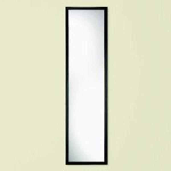 RENIN US, LLC 20-6190 Framed Mirror 49 In Black