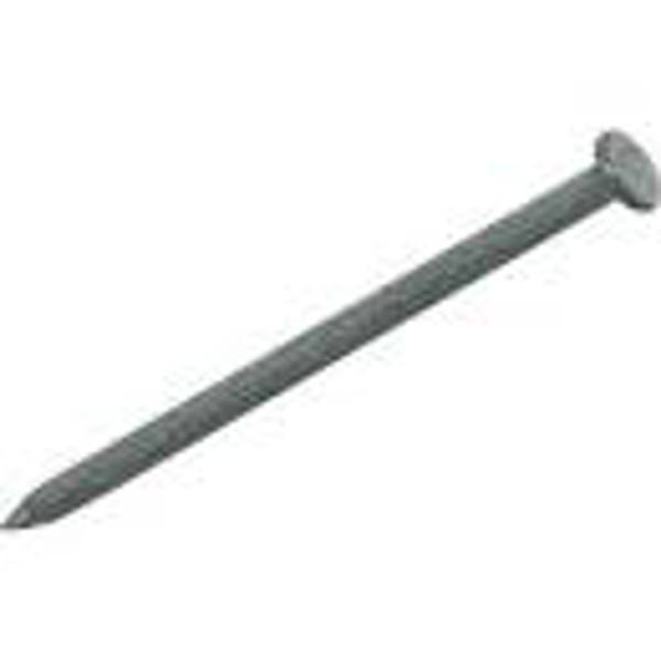 King Treasure Distribution Common 20D Hot Dipped Galvanized Nail 50 Lb 4 In