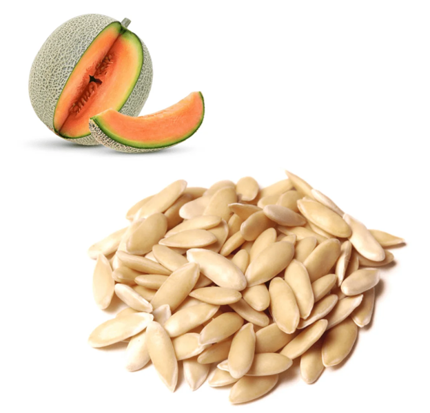 LewisCotch Nursery & Seeds MEL04 Melon Seed