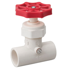 105-323 1/2 In CPVC S&W Valve
