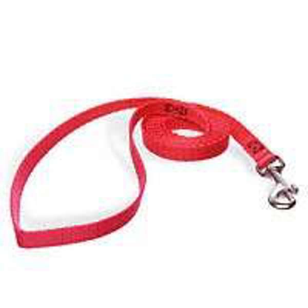 Aspen Pet 15006 Pet Leash 4 X 5/8 In Red Nylon