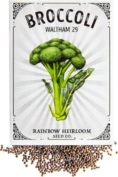 Lewiscotch Nursery & Seeds BRO05 Broccoli Seeds Waltham2