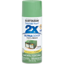 249072 12 Oz Leafy Satin Spray Paint