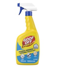 FG659 22 Oz Pump Bottle Cleaning Solution