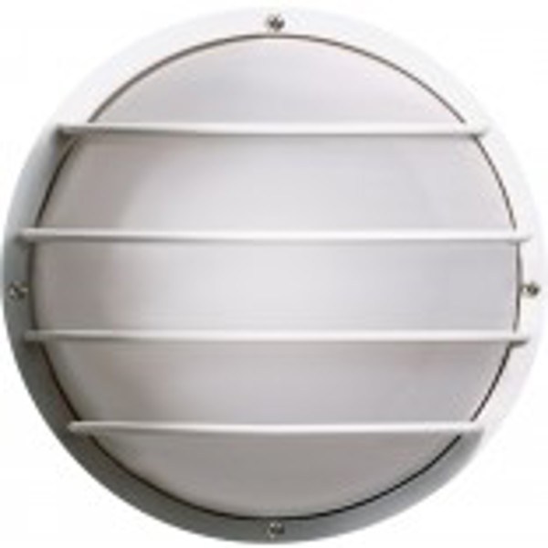 Satco SF77-861 Wall Light 10 In Round Cage 1 Light Outdoor Polysynthetic Body Lens
