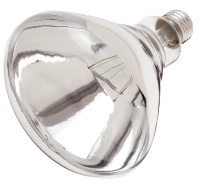 Satco S4885 R40 Incandescent Bulb 250 Watts 120V Clear Shatter Proof Medium Base