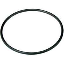 OR-100 Filter Housing O-Ring
