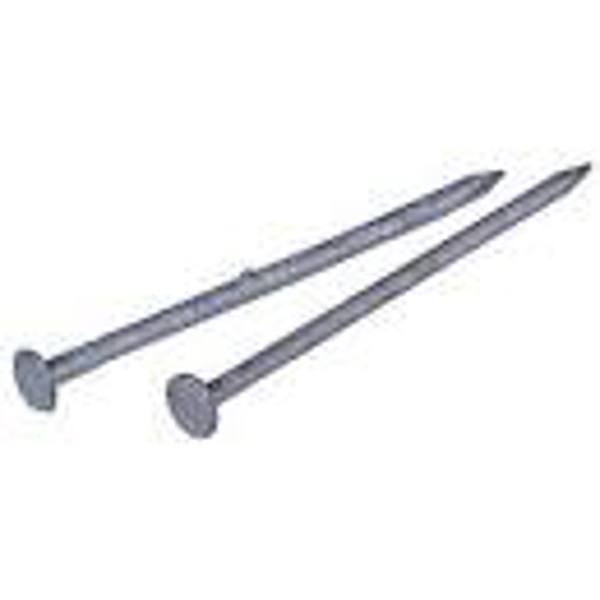 KING TREASURE DISTRIBUTION Common 16D Hot Dipped Galvanized Nail 50 Lb 3-1/2 In