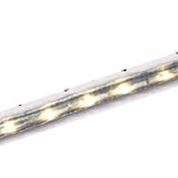 Good Earth Lighting G9548-CLR-I Rope Light 48 In 0.05 Watts Flexible Clear